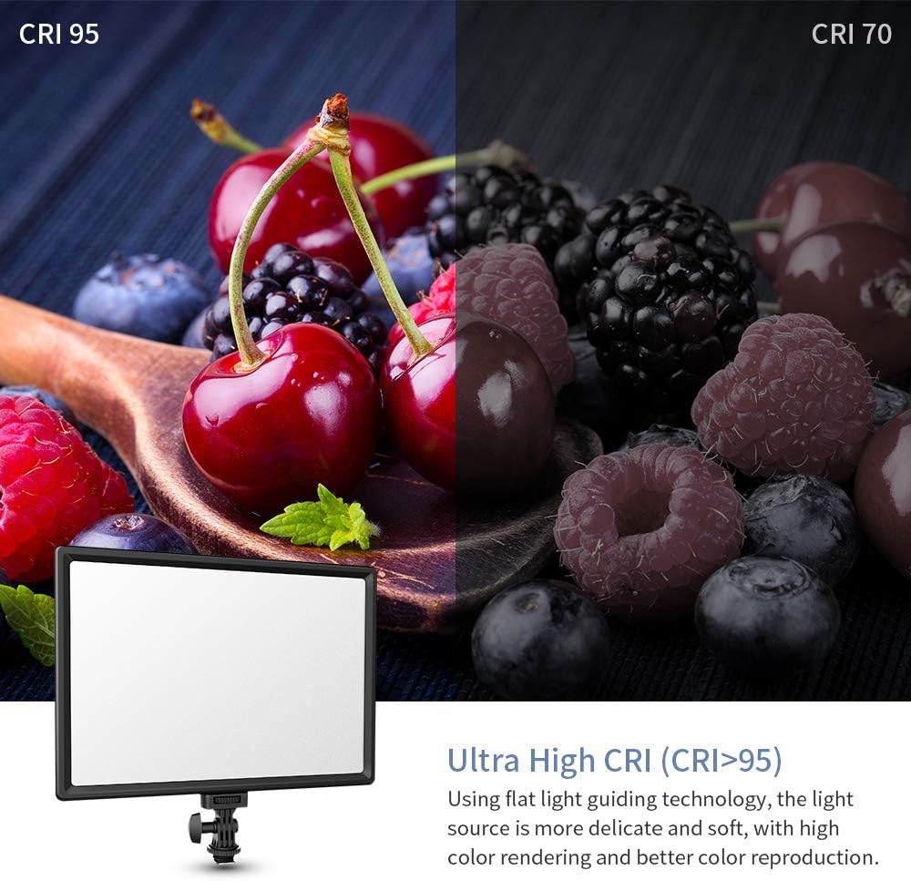 RALENO 13" LED Video Light - Image 4