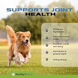 Buddy's Best Joint Support Liquid for Dogs 50ml Turmeric Natural Formula view 2