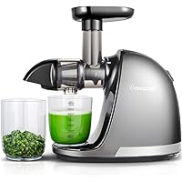Masticating Juicer Machines, AMZCHEF Slow Cold Press Juicer with Reverse Function, High Juice Yield, Easy Clean with Brush,Re