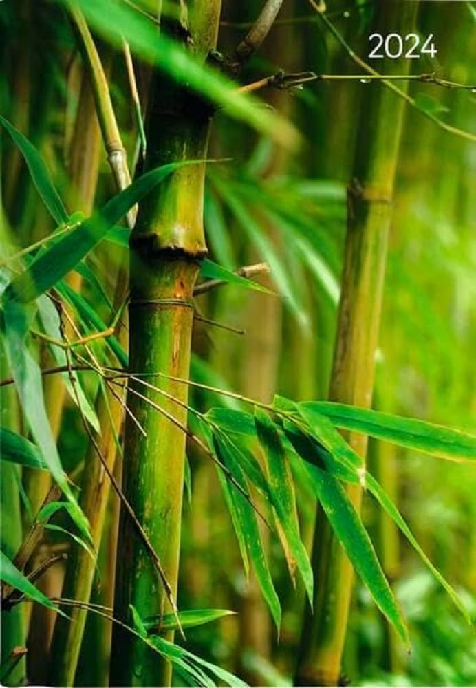 Book Calendar Style Zen 2024 - Office Calendar A5 - Executive Timer - 1 Day 1 Page - 352 Pages - Mindfulness - Alpha Edition