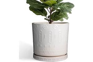 Eightpot Ceramic Pots for Plants 12 Inch - Large Ceramic Planters for Indoor Plants Outdoor Modern Flower Pot with Drainage Holes and Saucer for Office Garden Patio White