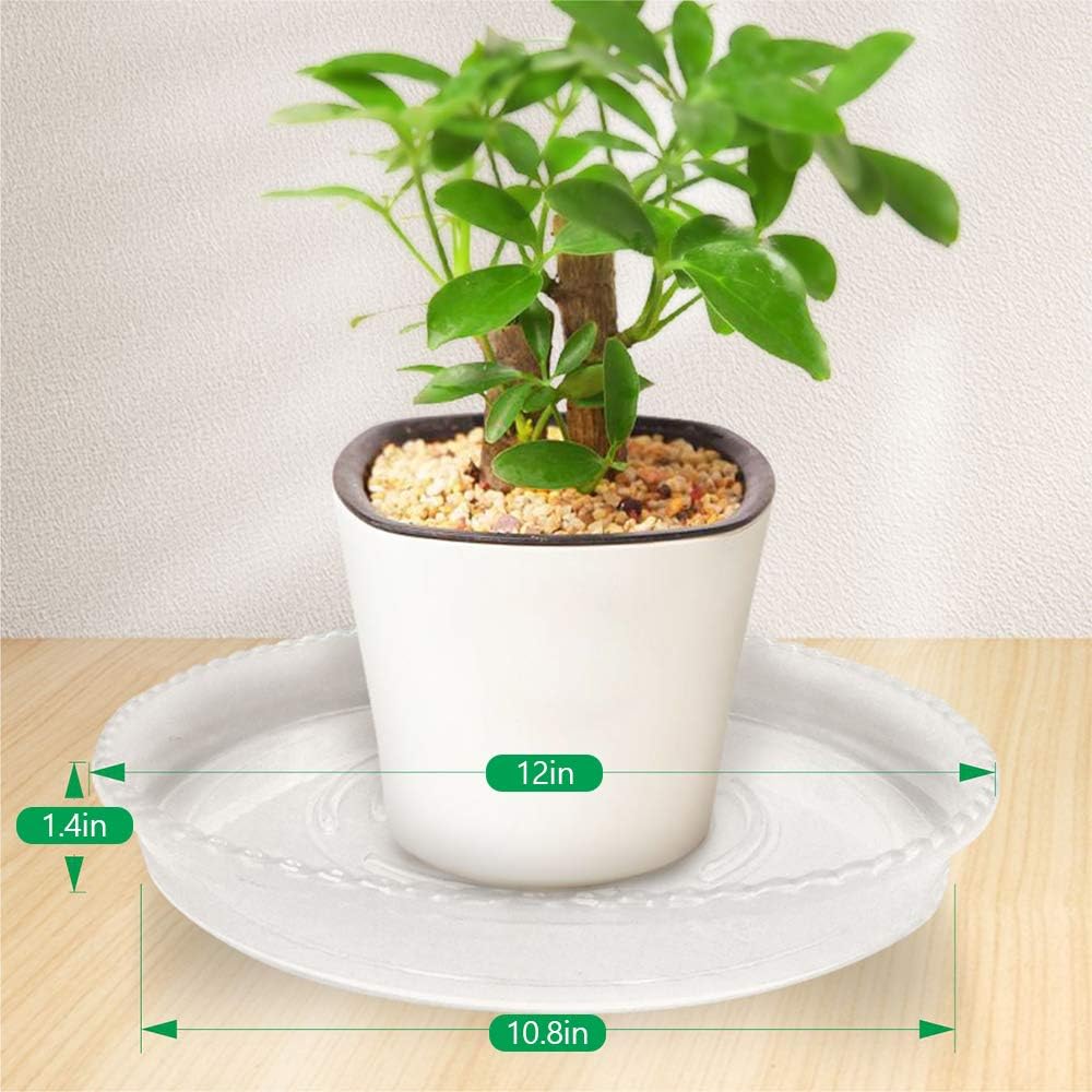 JOYSEUS Plant Saucers - 12 inch - Durable Plastic Plant Tray for Flower Pots, Clear Plant Saucer for Indoor Plants Pots & Outdoor Plants (4 Pack) : Garden & Outdoor