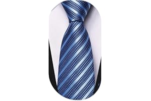 Dubulle Ties for Boys Self Tie Silk Paisely Striped Kids Necktie and Pocket Square Set for Age 8-11