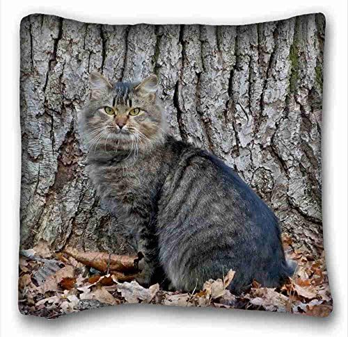 Generic Personalized Animal Soft Pillow Case Cover 16*16 Inch (One Sides)Zippered Pillowcase suitable for Full-bed