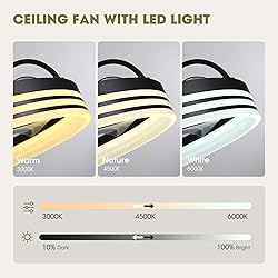 LUDOMIDE Ceiling Fans with Lights, 360° Rotating