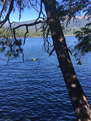 Speed Hound Swimmer's #1 Choice Bright Swim Buoy Lite (Highlighter Yellow)