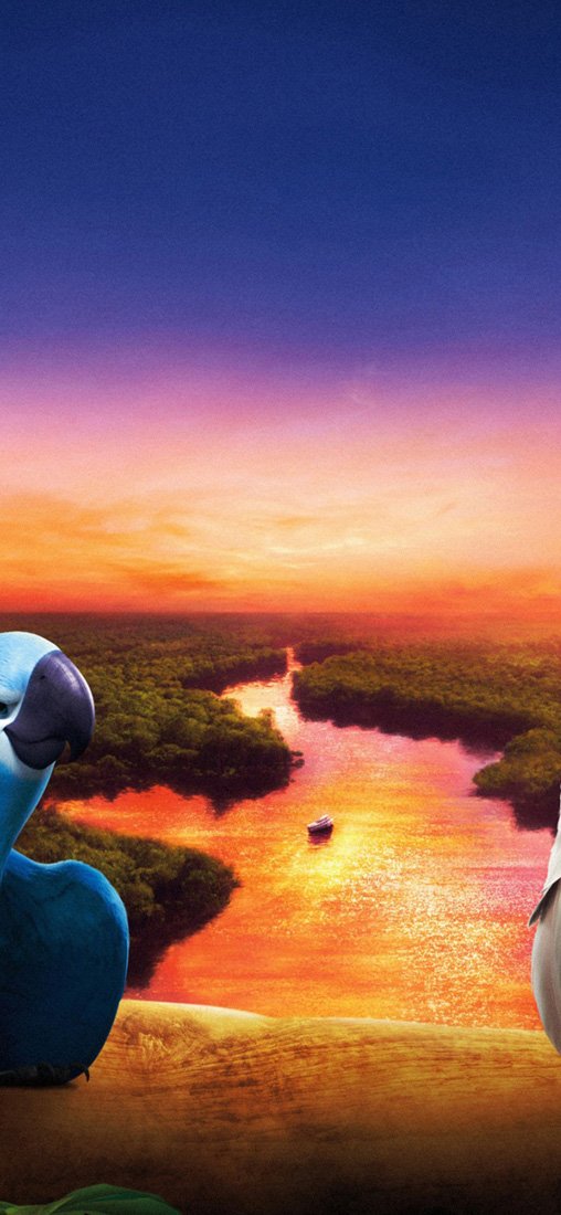 PeelitStickit Rio 2, vinyl