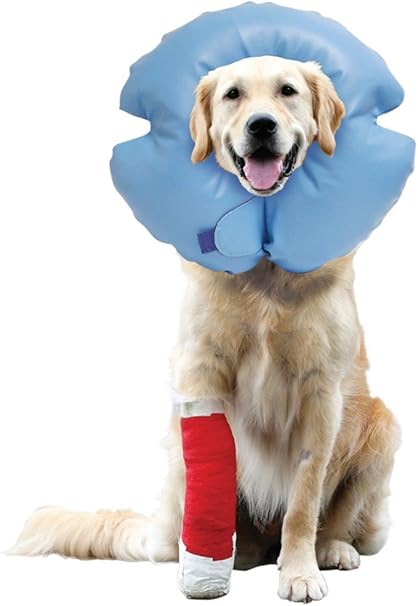 inflatable post op dog collar