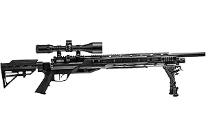 Benjamin Armada Air Rifle