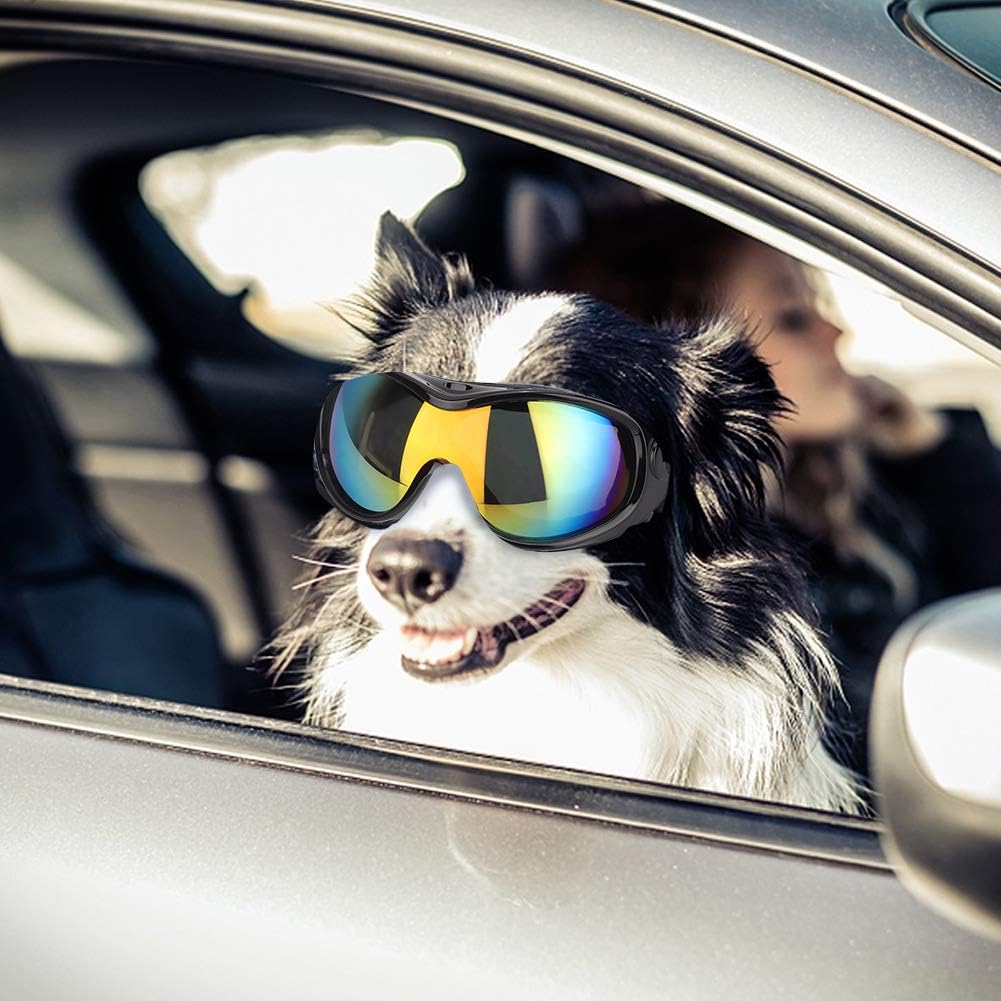 large dog sunglasses