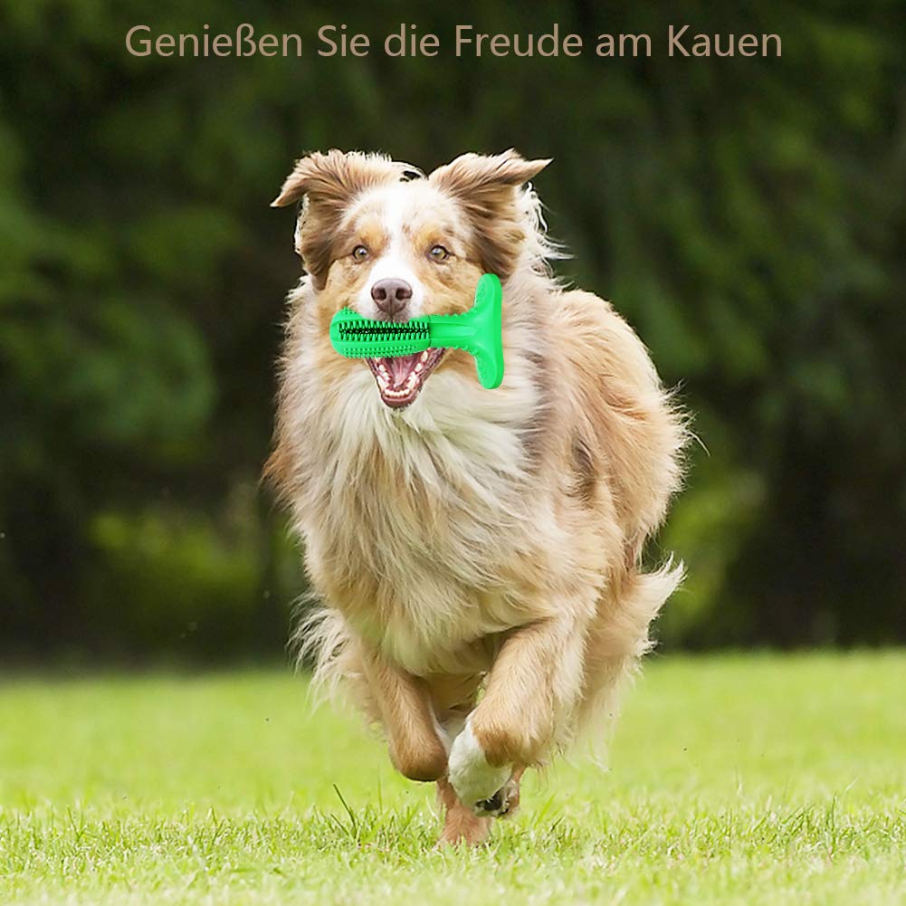 Ciaoed Hundespielzeug Kauspielzeug Hundezahnbürste,Hunde Zahnbürste mit ungiftig und umweltfreundlich naturkautschuk für kleine mittelgroße und große Hunde Pet zahnreinigung Zahnpflege Geschenk