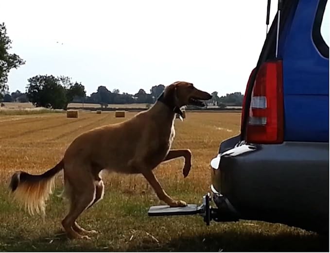 tow bar step for dogs