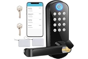 Masgety Keyless Entry Door Lock with Handle, Keypad Door Lock, Smart Locks for Front Doors, Fingerprint Biometric Lock, Keypa
