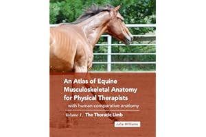 An Atlas of Equine Musculoskeletal Anatomy for Physical Therapists: with comparative human anatomy, Volume 1: The Thoracic Li