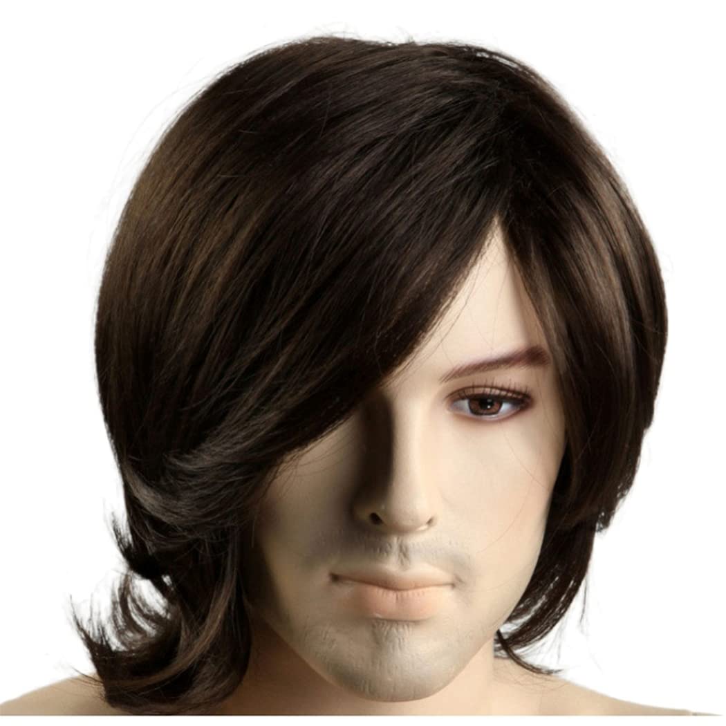 AIYLMZ Dark Brown Straight Wigs for Men Hair Toupee for Men Natural Fashion Synthetic Wigs Men's Hairpieces Men's Dark Brown Straight Hair Wigs (Dark Brown)