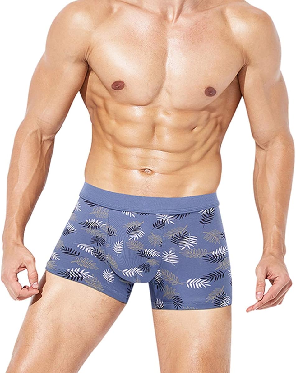 Youlehe Men's Underwear Soft Bamboo Boxer Briefs Stretch Trunks Pack at  Men’s Clothing store