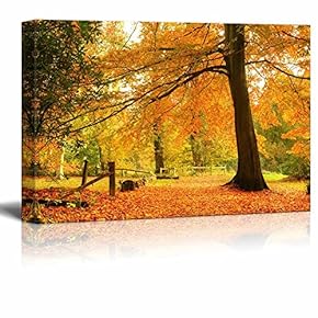 Beautiful Yellow Autumn Fall Forest Scene with Fallen Leaves