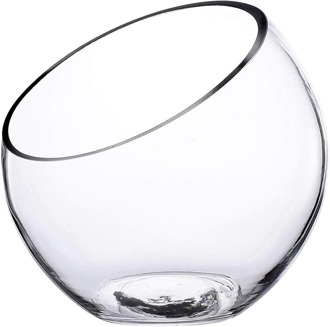 Ecosides Bols en Verre Transparent incliné pour Terrarium, Pot Rond en