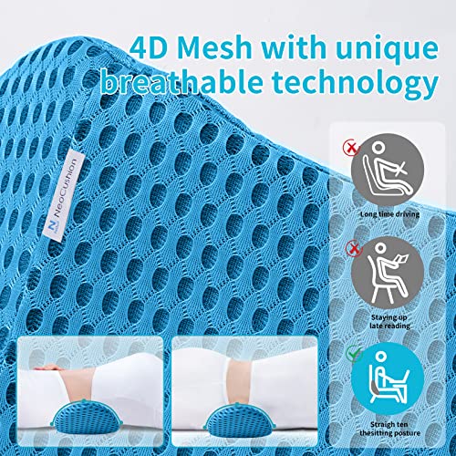 NeoCushion Lumbar Support Pillow for Office Chair,Couch,Car Seat