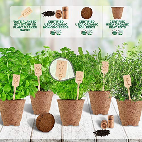 3 Indoor+Herb+Garden+Starter+Kit