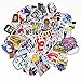 Love Sticker Pack 100-Pcs,Secret Garden Sticker Decals Vinyls for Laptop,Kids,Cars,Motorcycle,Bicycle,Skateboard Luggage,Bumper Stickers Hippie Decals bomb Waterproof（Not Random）