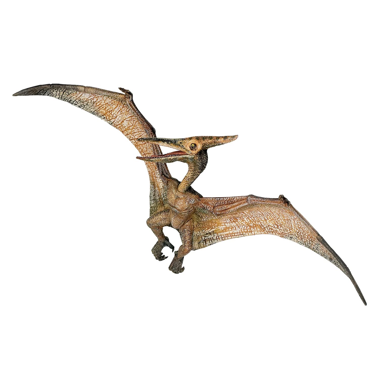 Papo - Realistic Pteranodon Dinosaur Figure - Ages 3+ - Dinosaurs Collection - Educational Play Flying Dinosaur - Gift Idea Toy for Girls and Boys - 23 Cm X 23 Cm X 8.8 Cm
