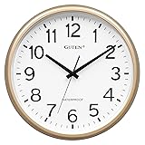 Caysie 16 Inch Sealed Large Outdoor Clock