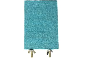 Litewoo Bird Perch Grinding Stand for Bird Parrot Budgie Parakeet Cockatiel Conure Lovebird Finch（5.1" x 3.5"）