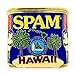 US Navy SPAM CPO (Strong Professional Assertive Mess Chief Petty Officer) Joint Base Pearl Harbor-Hickam, Hawaii Ask the Chief! Challenge Coin