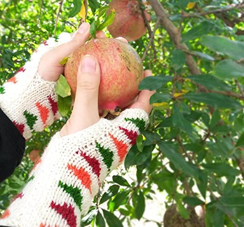 Knit colorful gloves - Arm warmers Fingerless gloves Arm warmers Christmas gift ideas