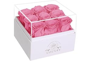 LOUVPY 9 Pink Ideas for Her - Forever Flowers Roses in Acrylic Box - Preserved Rose Gift - Fresh Flowers Bouquet for Delivery Prime - Birthday Gifts for Women
