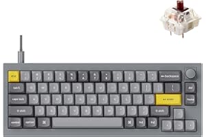Keychron Q2 Wired Custom Mechanical Keyboard Knob Version, 65% Layout QMK/VIA Programmable Macro with Hot-swappable Gateron G Pro Brown Switch Double Gasket Compatible with Mac Windows Linux (Grey)