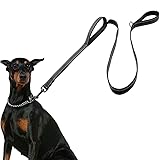 Dog Leash for Large Dogs, Traffic Padded 2 Handles
