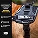 EzyDog Side Badge - Clearly Identifies Your Dog When Wearing The Convert Dog Harness - Set of Two Badges (in Training, Large)