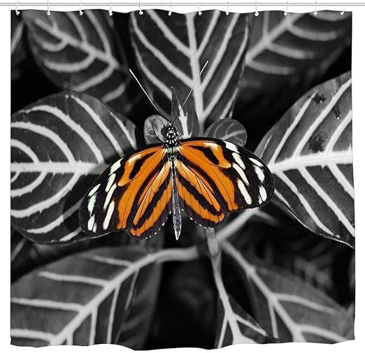 Amazon Com Afagahahs Leaves Black Striped White Fly Pretty Wings