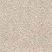 SAFAVIEH California Premium Shag Collection 4' Round Beige SG151 Non-Shedding Living Room Bedroom Dining Room Entryway Plush 2-inch Thick Area Rug
