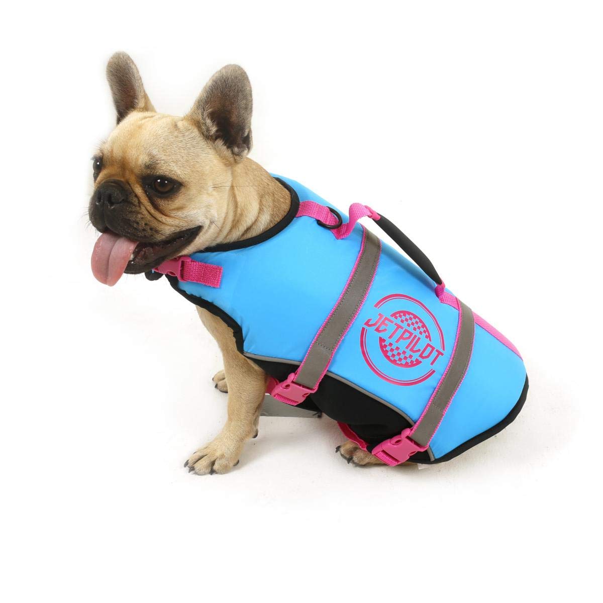 Jobe dog life jacket Clearance