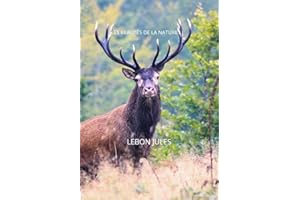 LES BEAUTÉS DE LA NATURE , LIVRE DE PHOTO ANIMALIÈRE ET NATURE: Explications concernant les différentes espèces photographiée