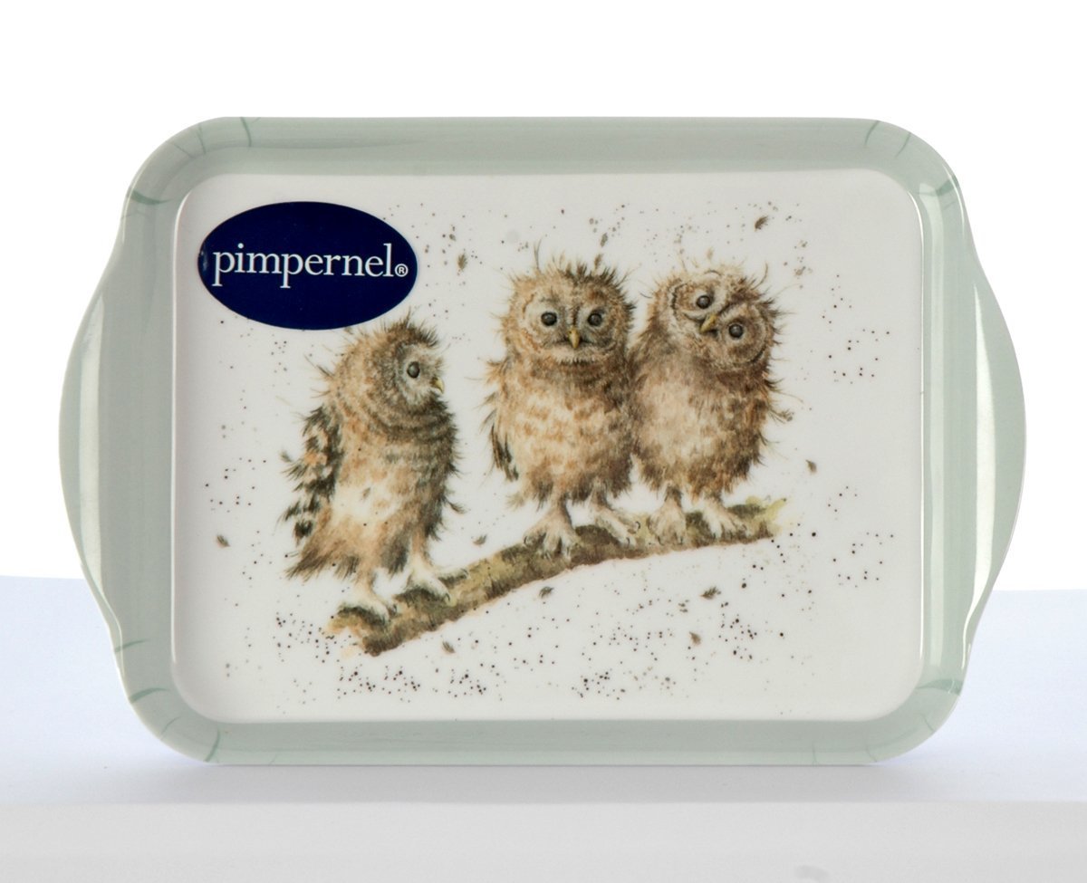 Wrendale Designs - 'Owl' Scatter Tray
