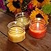 LumaBase Citronella Scented Candle Collection - Set of 3