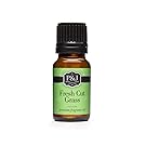 Fresh Cut Grass Fragrance Oil - Premium Grade Scented Oil - 10ml