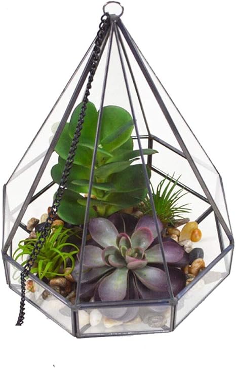 Amazon Co Jp 空気植物テラリウムボックス 現代芸術の壁の涙はダイヤモンド幾何テラリウムのために多肉植物 エア植物 シダ Catci 小 植物をシェイプ Color Black Size 17x16x22cm ホーム キッチン