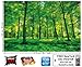 Photo Wallpaper – Summer Trees – Picture Decoration Nature Landscape Forest Glade Sunbeams Garden Plants Ferns Recreation Park Image Decor Wall Mural (82.7x55.1in - 210x140cm)