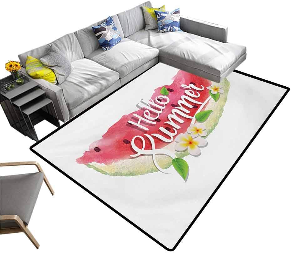 Watercolor Carpet mat Hello Summer Motivational Quote with Fresh Watermelon and Poppies Picture Washable Area Rug Pink Mint Green (4'7"x6'6")