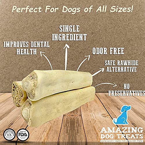 6 Inch Cow Tail Bone (Monster Bone 6 Inch 13 oz) Premium Quality