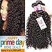 Brazilian Curly Virgin Hair Weave 3 Bundles Unprocessed Human Hair Extensions Natural Color Can Be Dyed and Bleached Tangle Free (10 12 14inches)