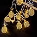 OMIKA Gold Metal Mesh Pineapple Lantern String Lights, 6.5ft 10 LED USB Plug & Battery Powered Novelty Fairy Lights for Bedroom Wedding Birthday Party Pineapple Decor(Warm White)