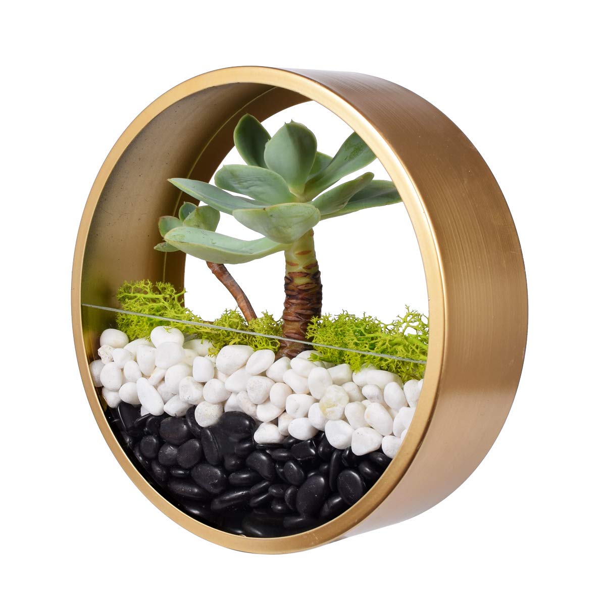 Ecosides 8" Gold Round Metal Glass Wall Vases,Wall Mounted Planters Air Plants Holder Artificial Succulent Cactus Flower Pots Vertical Container Terrarium Modern Wall Decor for Home, Bar,Hotel