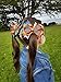 Imanom 12Pcs Baby Girl Hair Bows,Ribbon Design Hair Clips For Teens Baby Girls Babies Toddlers