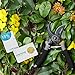 Crenova Hand Pruner, Professional 8'' Premium Titanium Bypass Pruning Shears, Premium Utility Garden Clippers Scissors with Sponge Handle Protector, Best Plant Flower SK-5 Steel Blade Cutter for Lawn